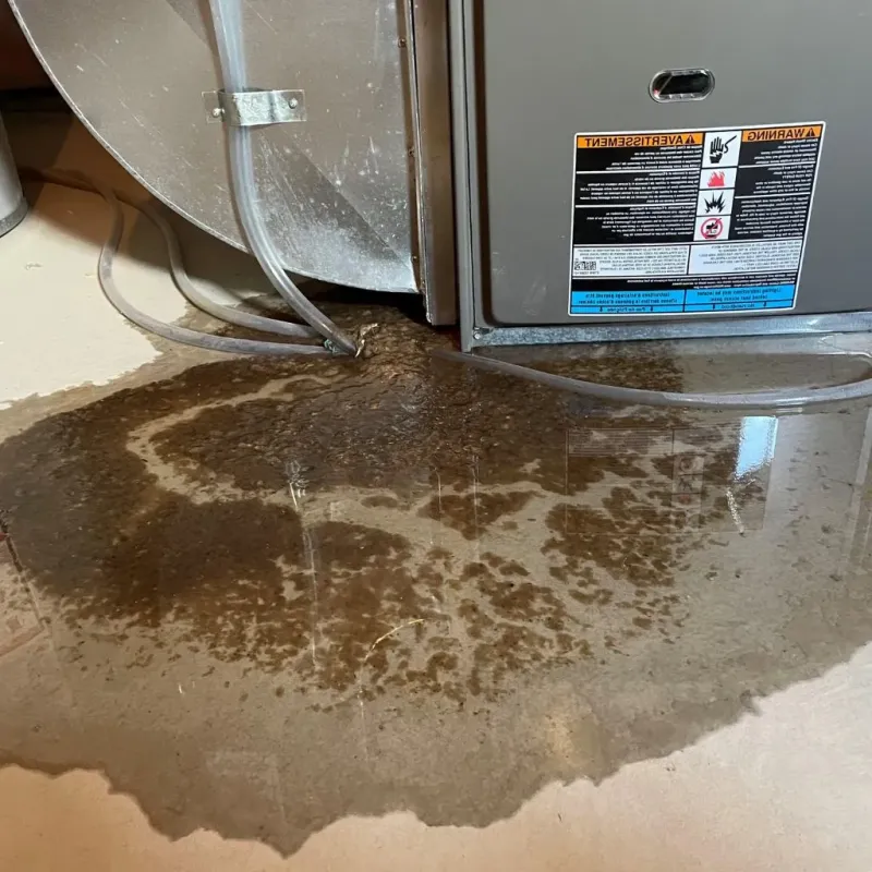 Pipe Burst and Leak Restoration in Cherryville, NC