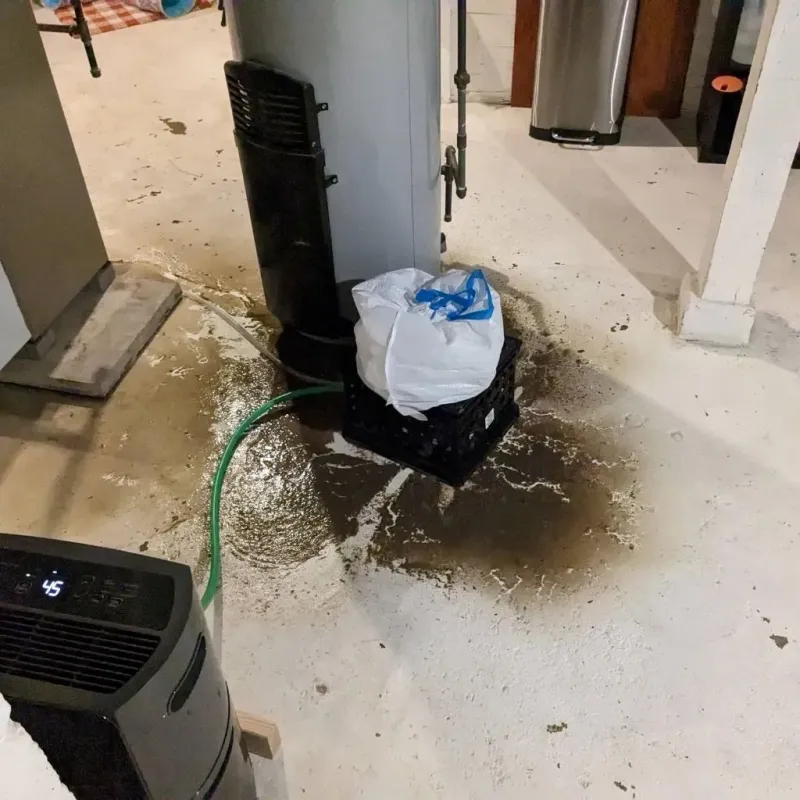 Sewage Backup Cleanup Service in Cherryville, NC